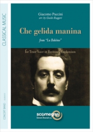 Che Gelida Manina (from 'La Boh�me') - hier klicken