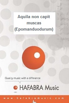 Aquila non capit muscas (Epomanduodurum) - hier klicken