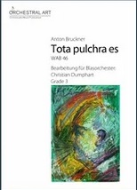 Tota pulchra es - hier klicken Tota pulchra es - hier klicken