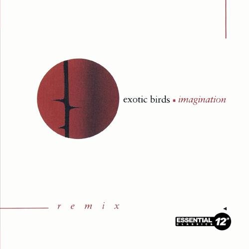 Imagination (Remix) - hier klicken