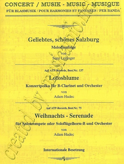 Weihnachts-Serenade - hier klicken