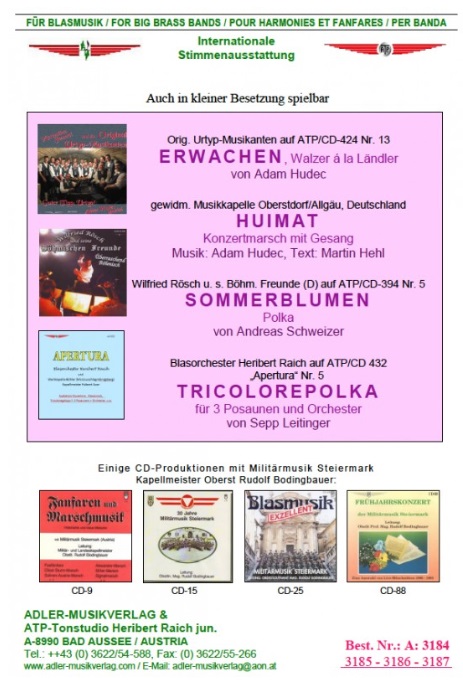 Tricolorepolka - hier klicken Tricolorepolka - hier klicken